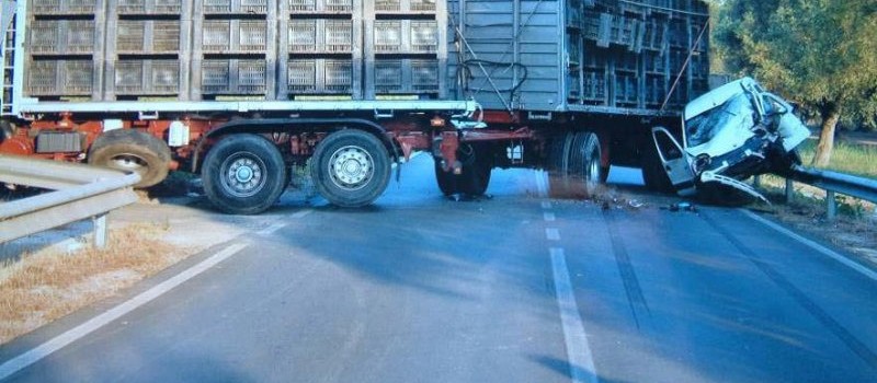 ricostruzione dinamica - incidente mortale